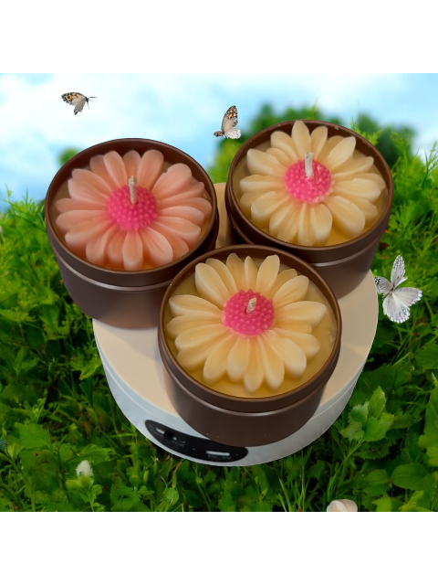 Black Raspberry Vanilla Daisy Candle in 4 oz